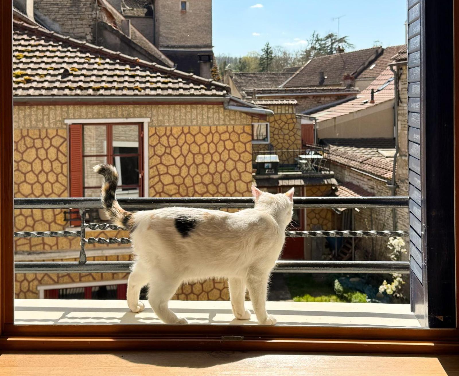 La Petite Maison Noyers-sur-Serein Exteriör bild